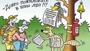 Добро пожаловать в лес