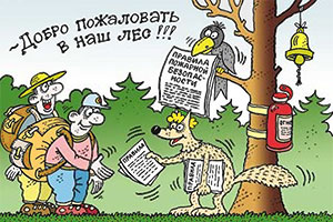 Добро пожаловать в лес