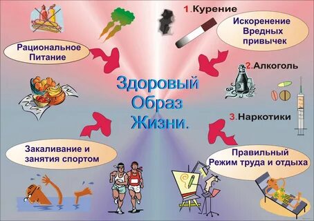 Здоровый образ жизни и профилактика болезней