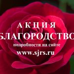 Акция «Благородство»: творим добро вместе!