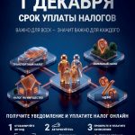 1 декабря - срок уплаты налогов!