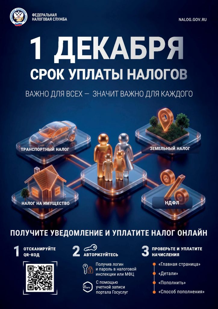 1 декабря - срок уплаты налогов!